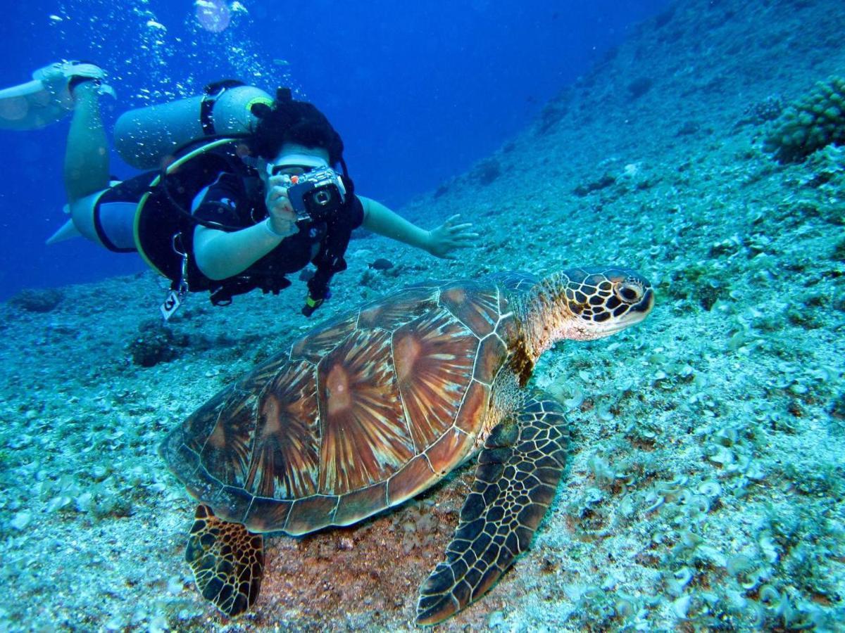 Manta Dhangethi Ngoại thất bức ảnh