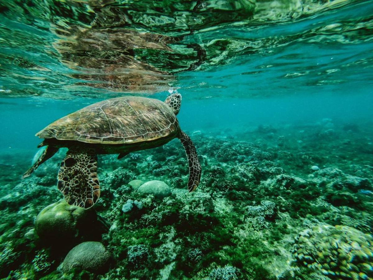 Manta Dhangethi Ngoại thất bức ảnh